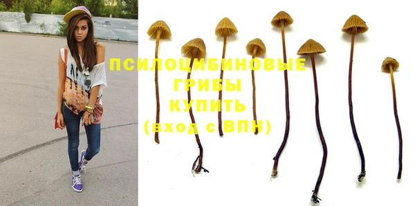 хмурый Алексеевка