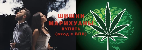 спайс Алзамай