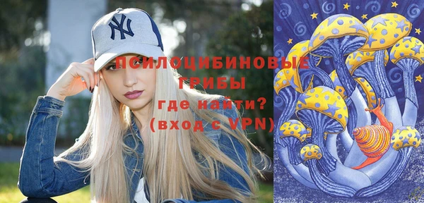 хмурый Алексеевка