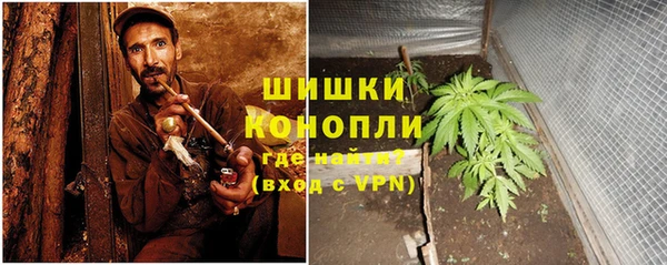 спайс Алзамай
