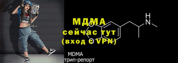 хмурый Алексеевка